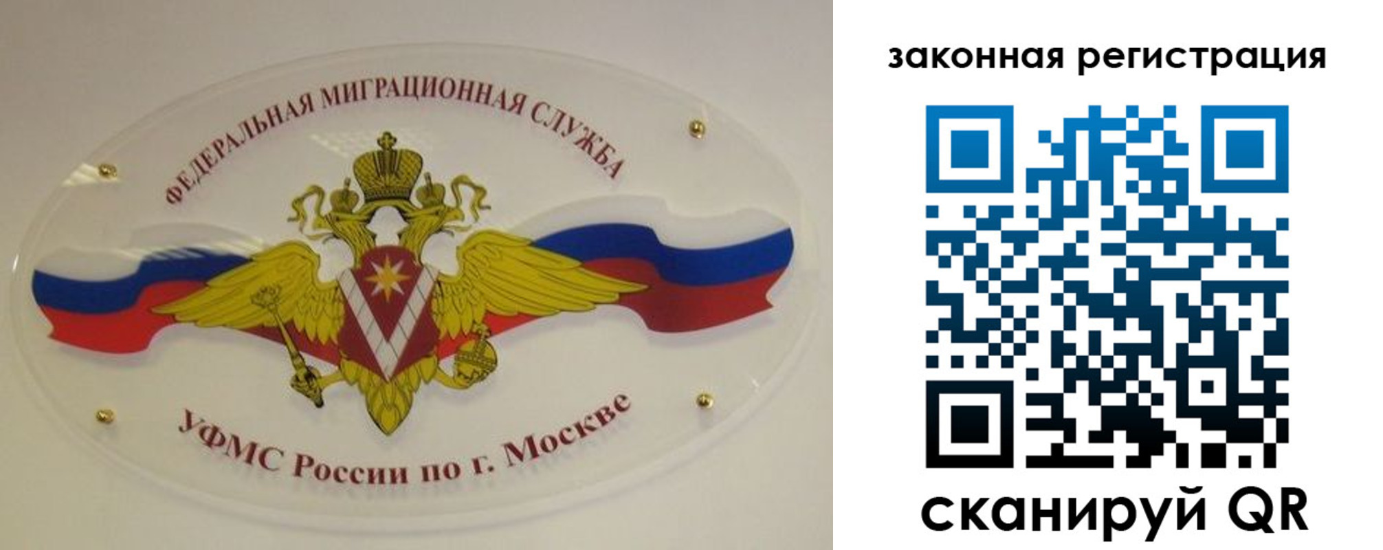 где прописаться в Струнино